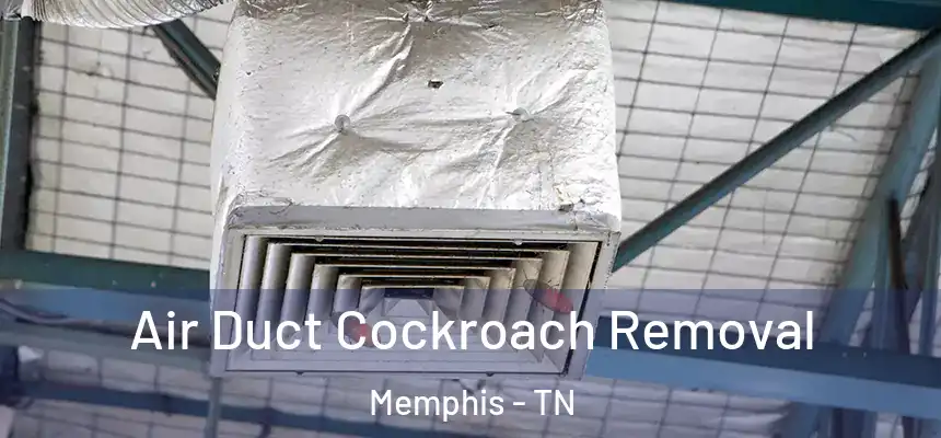  Air Duct Cockroach Removal Memphis - TN