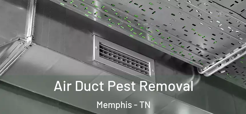 Air Duct Pest Removal Memphis - TN