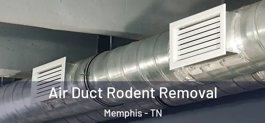 Air Duct Rodent Removal Memphis - TN