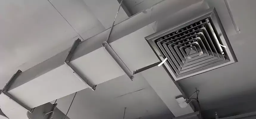 Restorative Allergy Relief Vent Cleaning – Coil, Blower & Housing Detail in Memphis