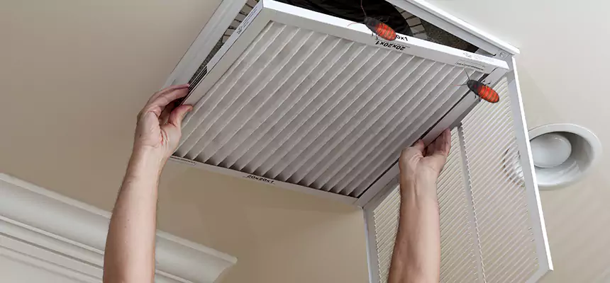 Our Insect Removal from Air Ducts Services in Memphis, TN