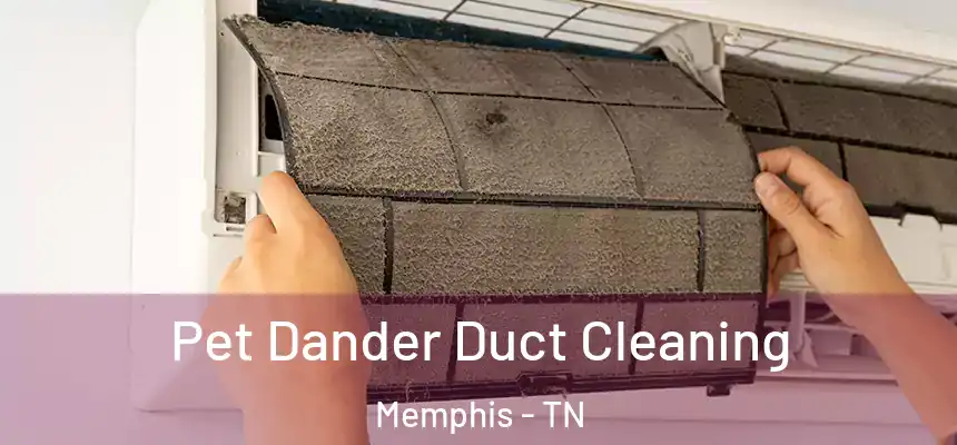 Pet Dander Duct Cleaning Memphis - TN
