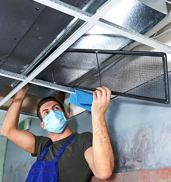 About Air Duct Bacteria Removal in Memphis