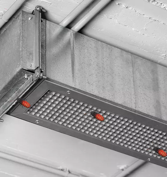 About Air Duct Cockroach Removal in Memphis, TN