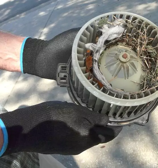 About Air Duct Rat Removal in Memphis, TN