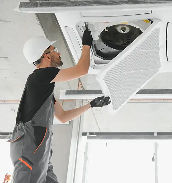 About Air Duct Rodent Removal in Memphis, TN