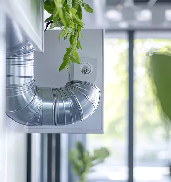 Professional Eco-Safe Dryer Vent Cleaning in Memphis, TN