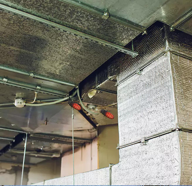 Why Homeowners & Businesses Trust Us in Memphis, TN?