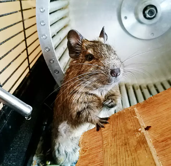 Why Homeowners & Businesses Trust Us Memphis, TN?