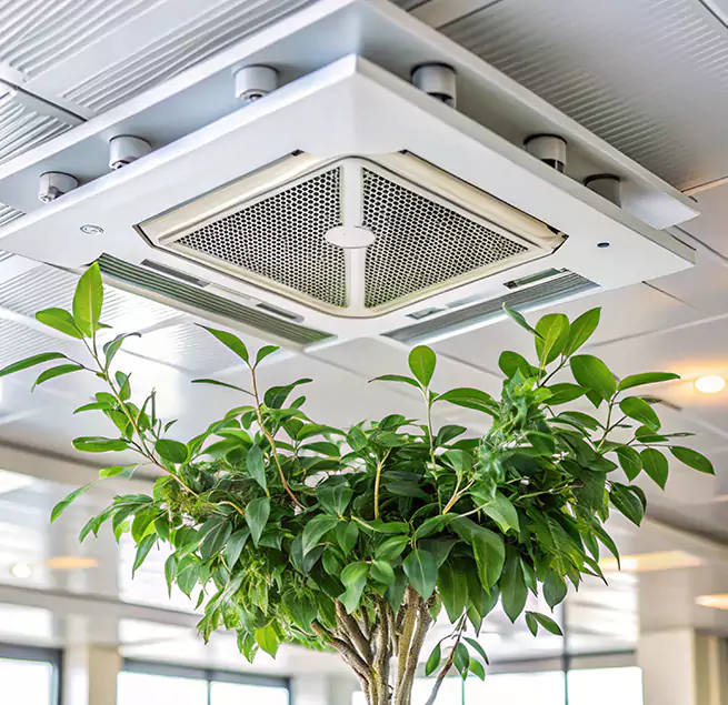 Why Homeowners & Businesses Trust Us in Memphis, TN?